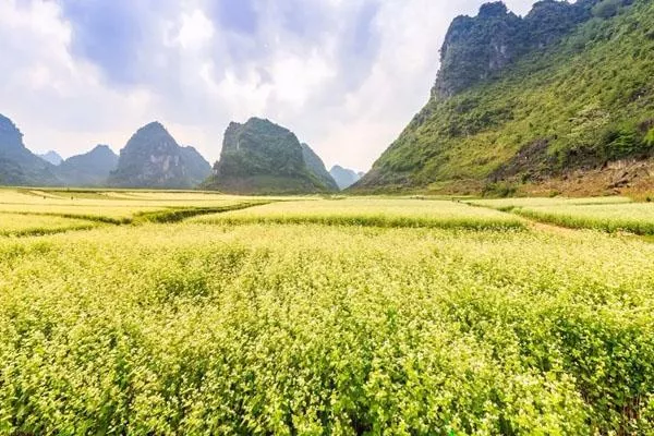 秋天南宁周边最佳旅游景点推荐