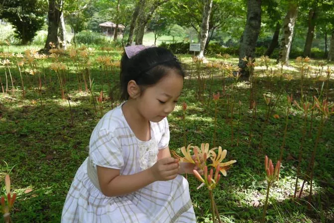 济州岛有什么好玩的 济州岛亲子五日游