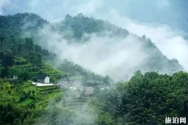 宁波逐步村有什么风景