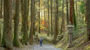 日本琵琶湖有什么好玩的 琵琶湖有哪些景点