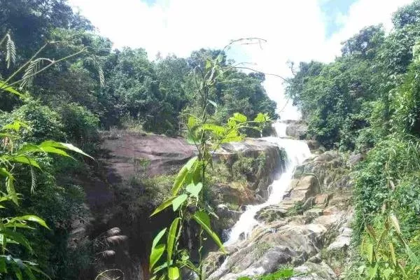 东兴屏峰雨林公园门票多少钱