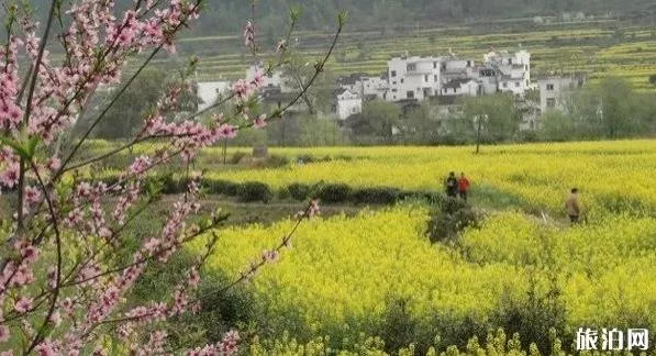 从北京到婺源旅游攻略