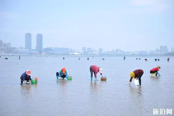 青岛海边有哪些赶海抓螃蟹的地方