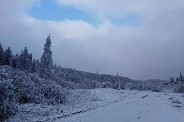 2021年重庆仙女山什么时候下雪 仙女山冬季游玩攻略