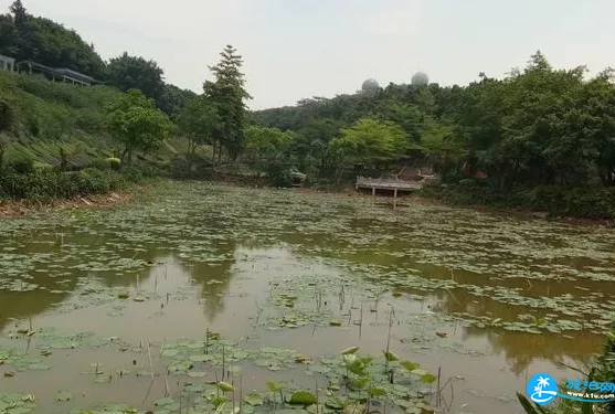 西樵山怎么去 西樵山游玩路线攻略