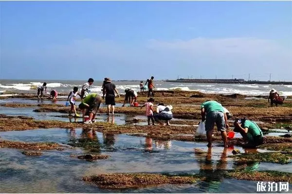 湛江硇洲岛赶海时间表 湛江硇洲岛赶海攻略