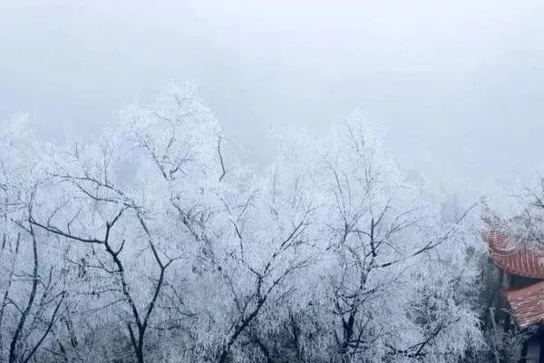 2020贵阳初雪最新消息 贵阳什么时候下雪