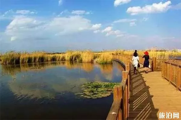 曲靖海峰湿地公园怎么去 包车费用多少-海峰湿地可以钓鱼吗