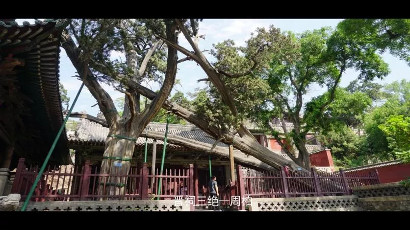 太原有什么旅游景点 太原风景好的旅游景点有哪些