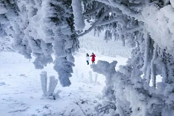 丰都南天湖下雪了吗2021 丰都南天湖滑雪场攻略