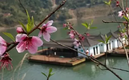 桃花湖在哪里  桃花湖入住民宿多少