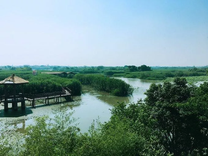 莫干山有什么好玩的 莫干山有哪些旅游景点