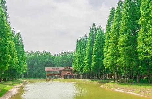 盐城东台有什么好玩的 盐城东台必去的景点有哪些