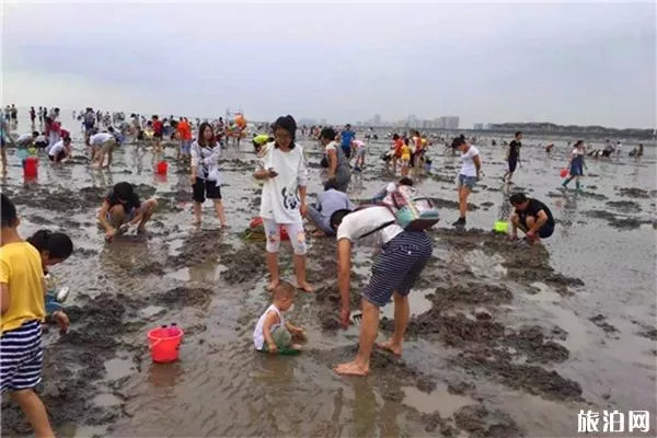 秦皇岛蟹贝湾赶海基地介绍 地址-具体线路