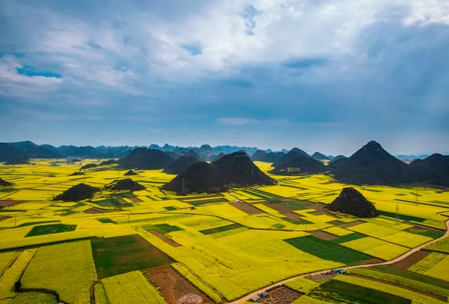 2022罗平油菜花最佳观景点在哪?