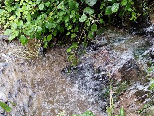 小溪流水高清美图欣赏