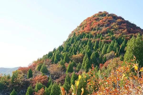 舞彩浅山滨水国家登山步道 赏红叶攻略