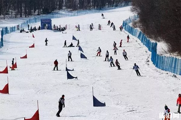 亚布力滑雪场哪个适合幼儿 怎么选择好