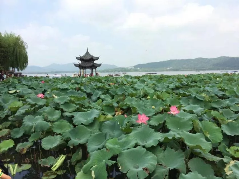 西湖自助游最佳路线 2017年西湖自驾游最佳路线