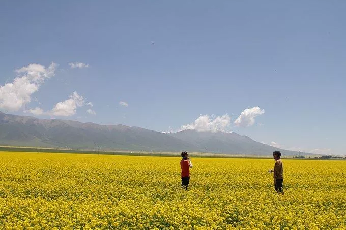 西宁有哪些旅游景点 西宁旅游攻略2017