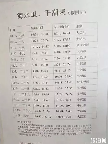 威海双岛西山村西海赶海收费多少