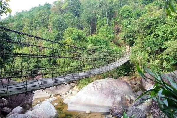 东兴屏峰雨林公园门票多少钱