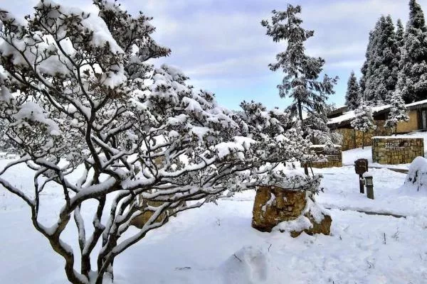 重庆看雪景去哪里好 重庆看雪景的最佳地点