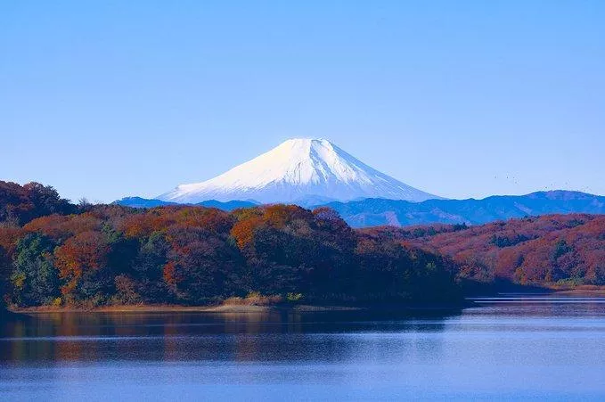 上海到日本自由行攻略 去日本怎么最省钱