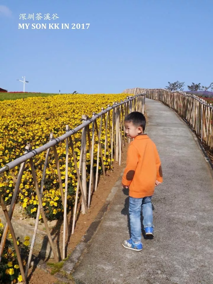 深圳有哪些旅游景点 深圳两日游攻略