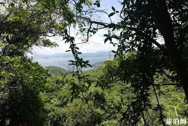 马峦山徒步登山一日游攻略