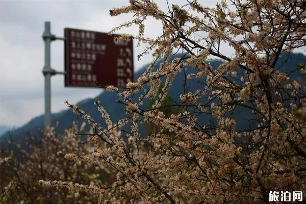 长泰古山重景区简介 怎么去