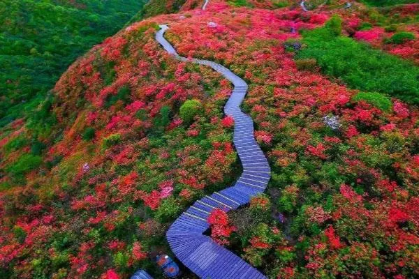 浏阳自驾游一日旅游景点推荐