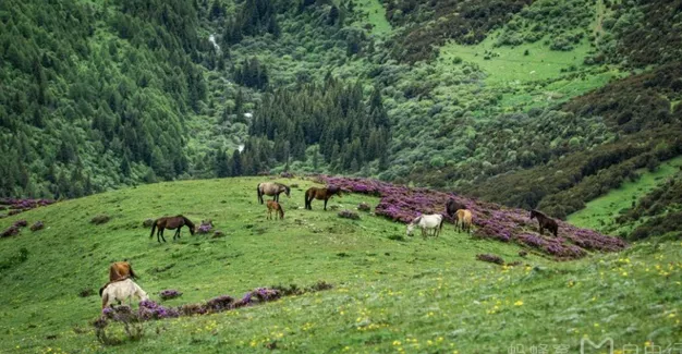 四姑娘山几月份去最好 四姑娘山旅游交通攻略