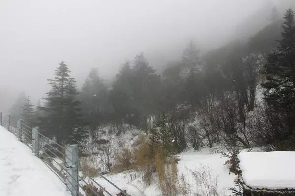 神农架什么时候下雪 神农架冬天好玩吗