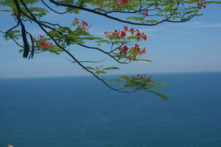 岘港和芽庄拿个好玩 岘港旅游攻略