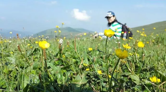 五台山自助游攻略