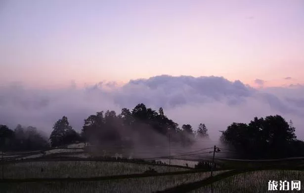 云南元阳梯田旅游攻略