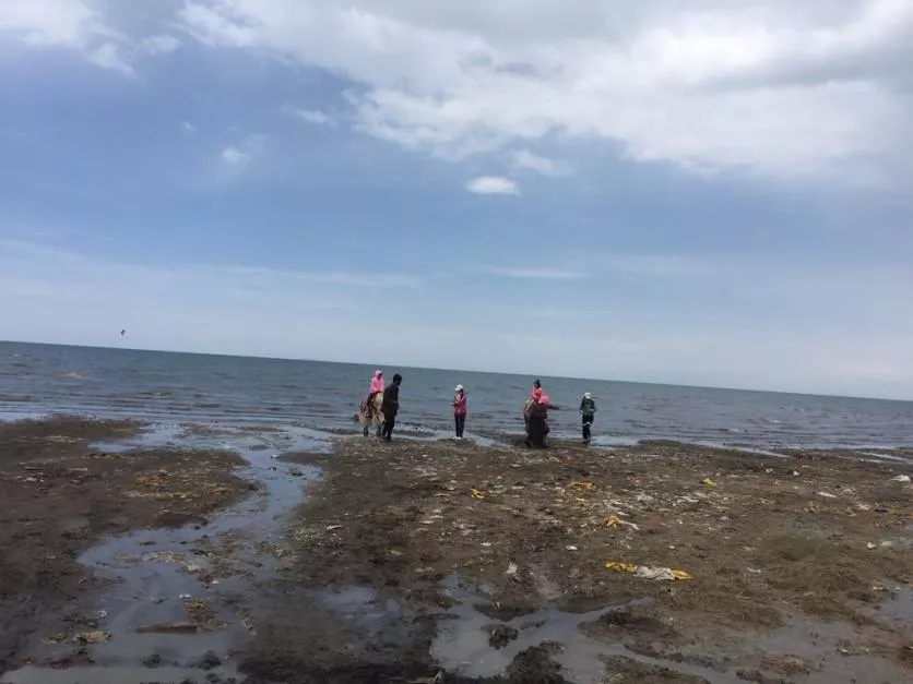 青藏高原自驾游攻略 青藏高原旅游多少钱