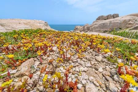 东极岛有什么旅游景点 东极岛自驾游攻略2017