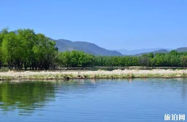 大理剑湖湿地公园游玩攻略