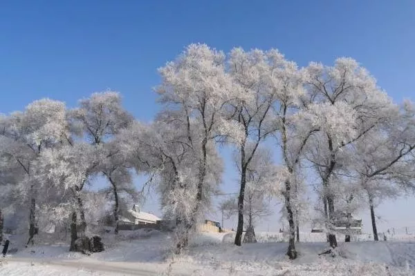 国内看雪的旅游胜地有哪些