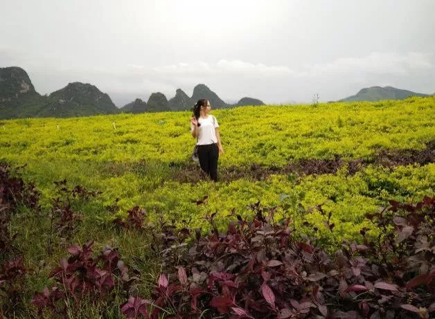 广东英德旅游攻略 英德自驾游攻略