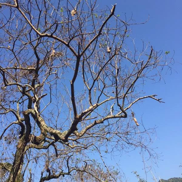 永定土楼好玩吗  永定土楼在哪儿