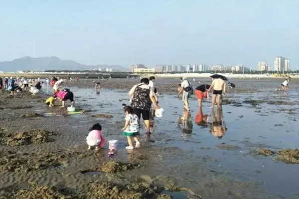 烟台赶海最佳地方和时间