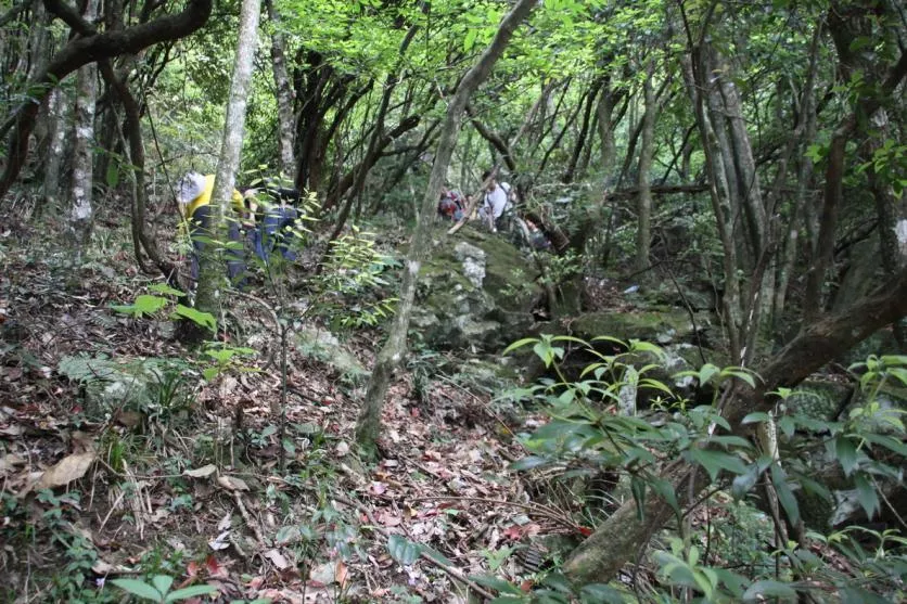 武功山自由行攻略 武功山门票免费2017