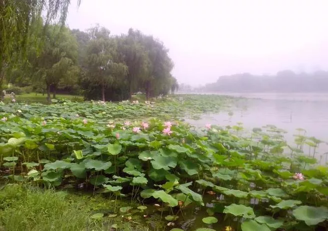 玄武湖历史介绍