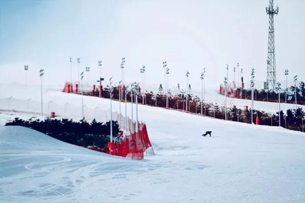 山西有哪些滑雪场好玩