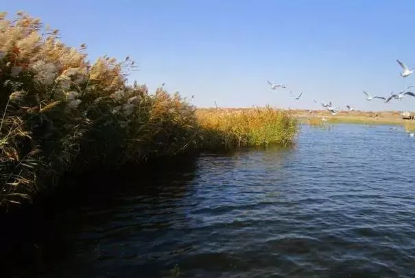 内蒙古秋天哪里风景好