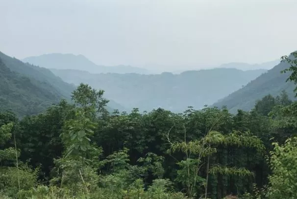 成都免费徒步旅游景点推荐