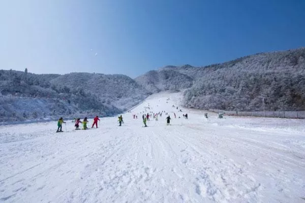 阿勒泰有哪些滑雪场 五大必去滑雪场介绍